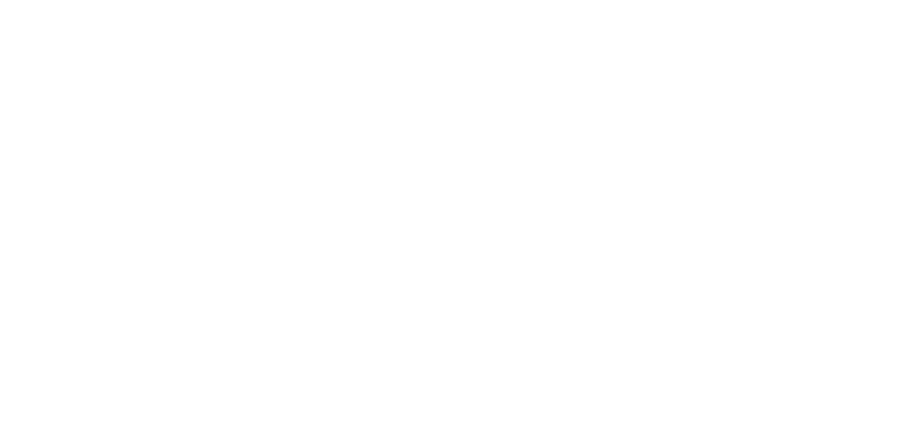 IBM logo